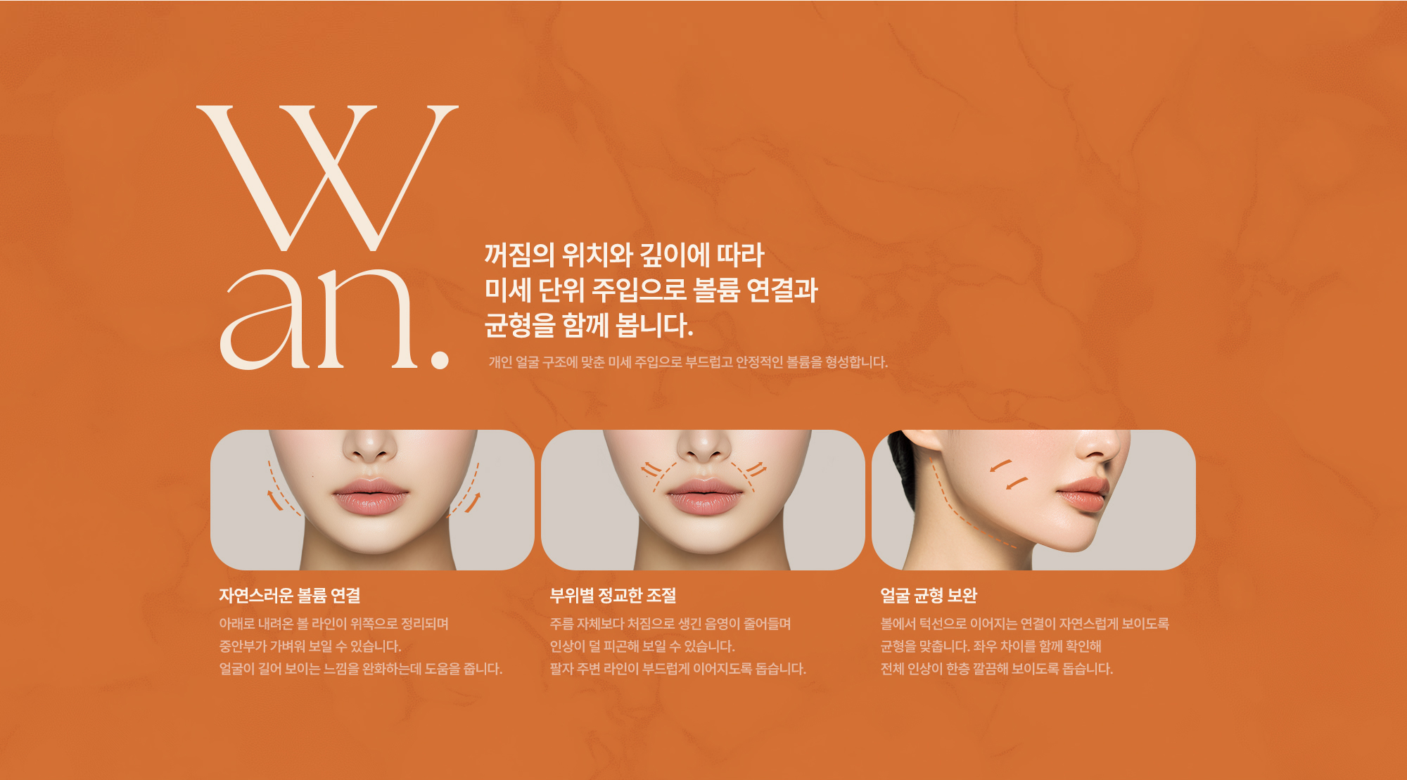 미세지방이식술