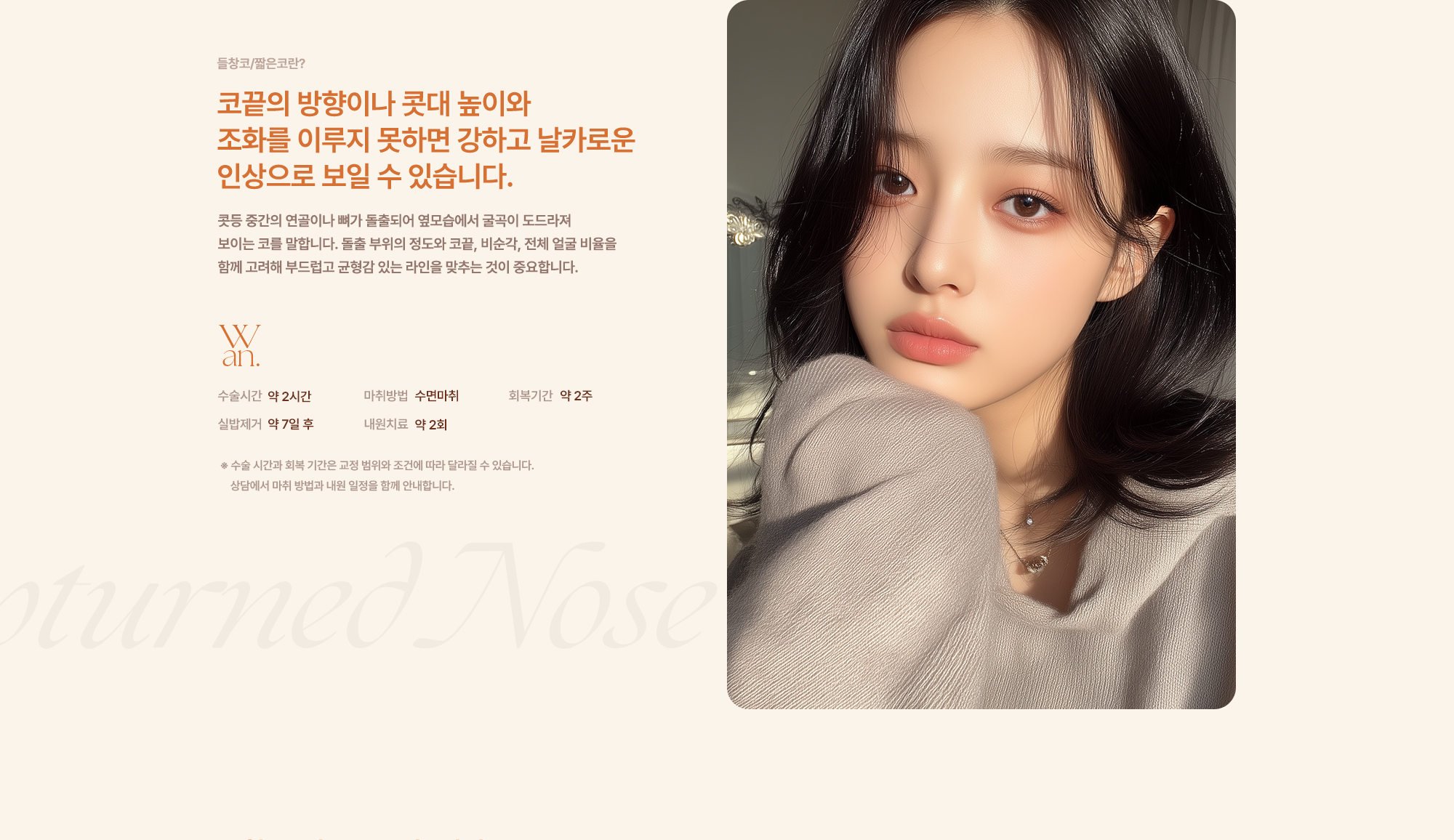 완성형외과 코수술